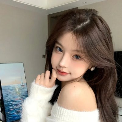 最后的飞行